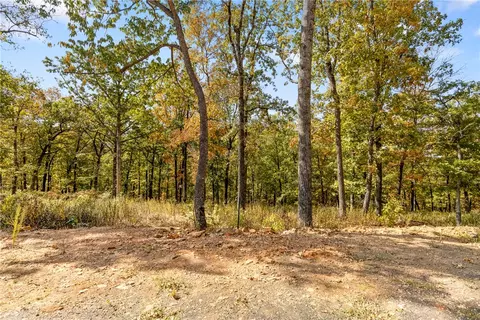 lot69 Restore Rdg, Harrison, AR 72601 photo 20