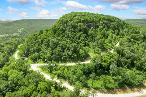 lot75 Restore Rdg, Harrison, AR 72601 photo 33