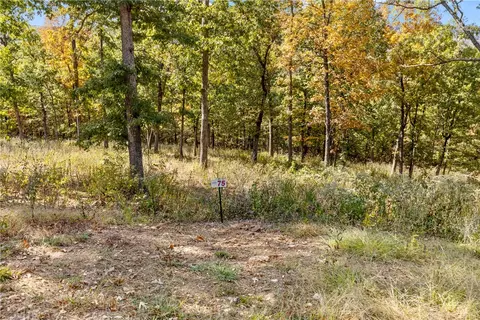 lot75 Restore Rdg, Harrison, AR 72601 photo 20