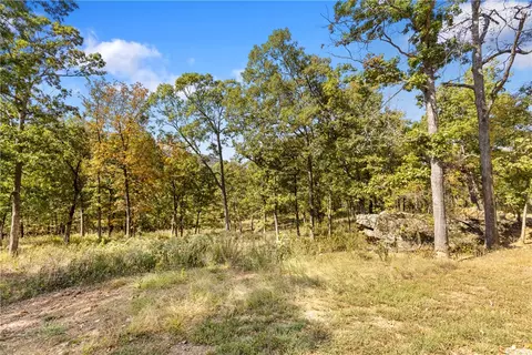 lot75 Restore Rdg, Harrison, AR 72601 photo 21