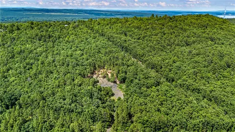tbd Nichols Ln, Delaware, AR 72835