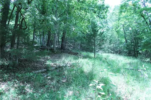 tbd Rustic Dr, Little Flock, AR 72756 photo 13