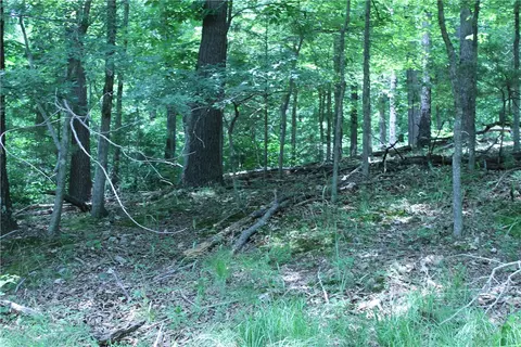 tbd Rustic Dr, Little Flock, AR 72756 photo 19