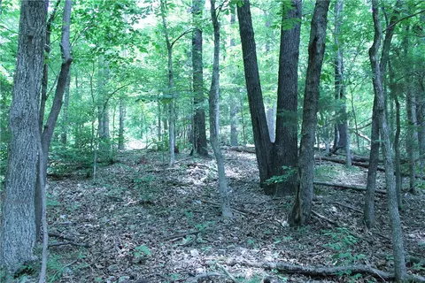 tbd Rustic Dr, Little Flock, AR 72756 photo 14