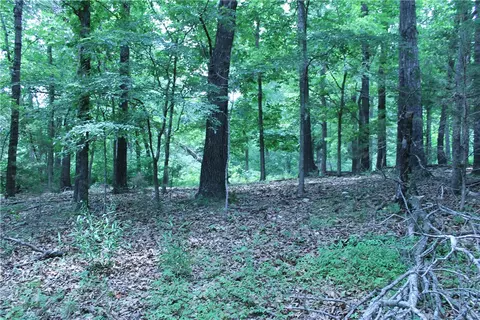 tbd Rustic Dr, Little Flock, AR 72756 photo 17