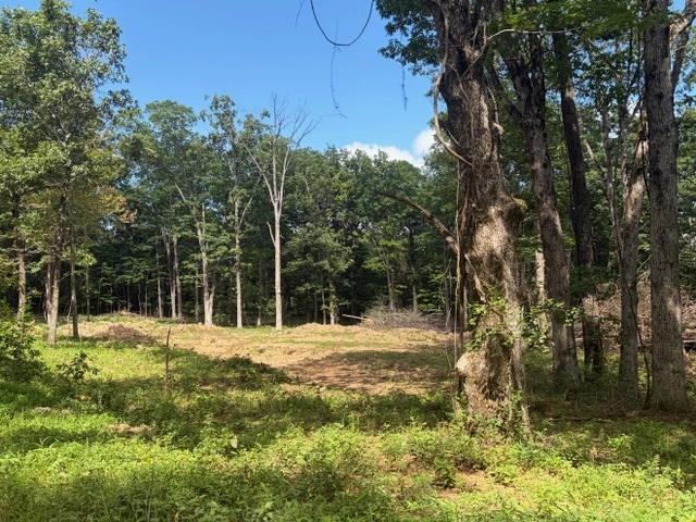tbd Freedom Rd, Winslow, AR 72959