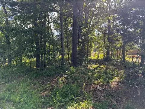 tbd Nc 2430, Jasper, AR 72641 photo 4