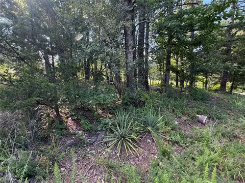 tbd Nc 2430, Jasper, AR 72641 photo 14
