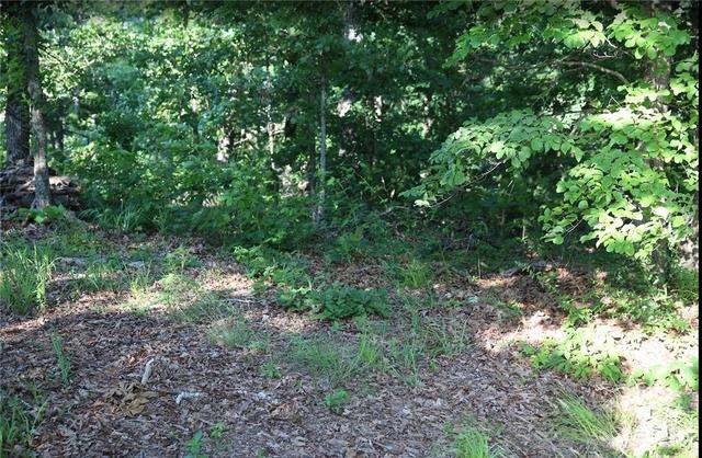 lot12 Thaxted Dr, Bella Vista, AR 72715