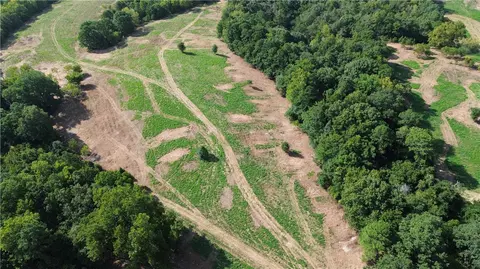 1029 Bear Hollow Rd, Pineville, MO 64856