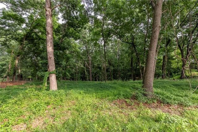 lot111 E Woodside Ln, Rogers, AR 72756