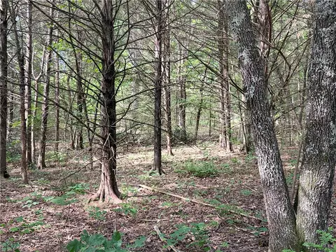 lot10 Seaton Dr, Bella Vista, AR 72714