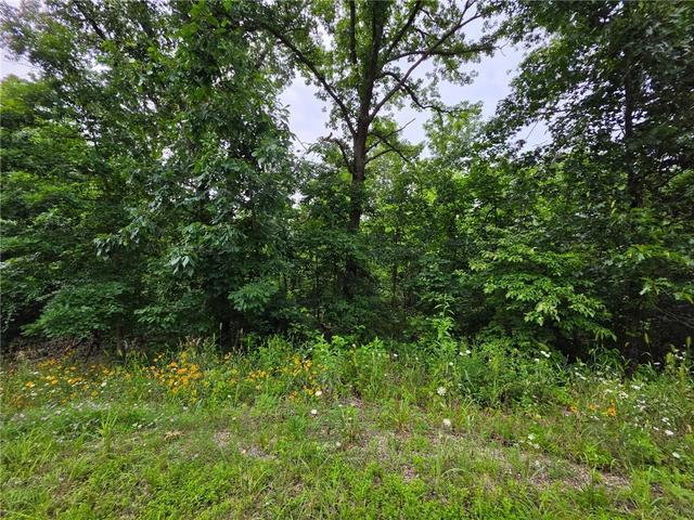 0 Rountree Dr, Bella Vista, AR 72715
