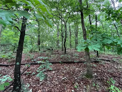 lot3 Block 6 Dunstable Dr, Bella Vista, AR 72714