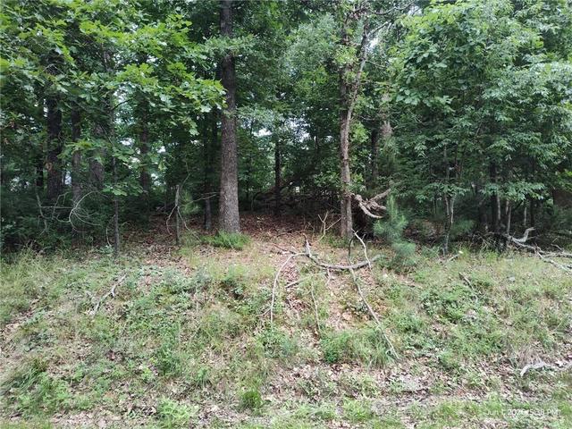 Forfar Circle, Bella Vista, AR 72715