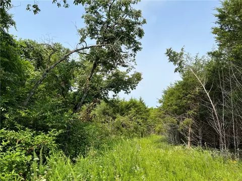 N Center Loop, Harrison, AR 72601 photo 12