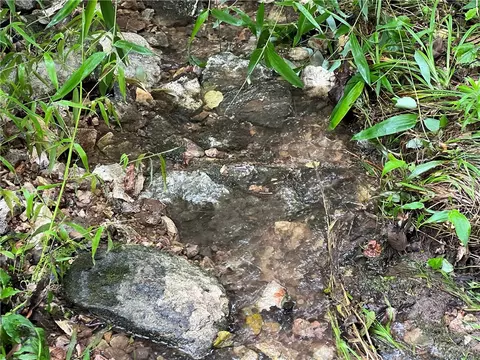 N Center Loop, Harrison, AR 72601 photo 4