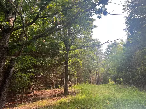 N Center Loop, Harrison, AR 72601 photo 6