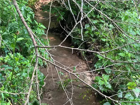 N Center Loop, Harrison, AR 72601 photo 5