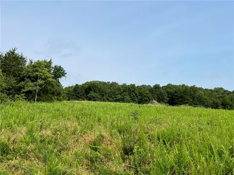 N Center Loop, Harrison, AR 72601 photo 3