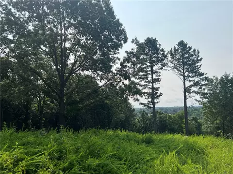 N Center Loop, Harrison, AR 72601 photo 9