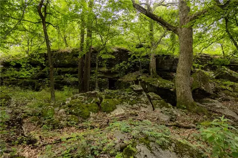 Other - 640 S Forty Rd, West Fork, AR 72774 photo 17 of 17