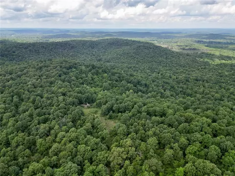 52 Summerfield Crk, Williford, AR 72482
