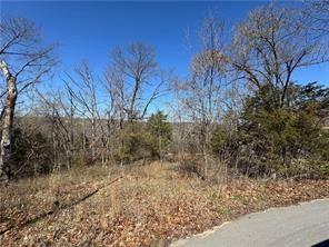 Sable Lane, Bella Vista, AR 72715