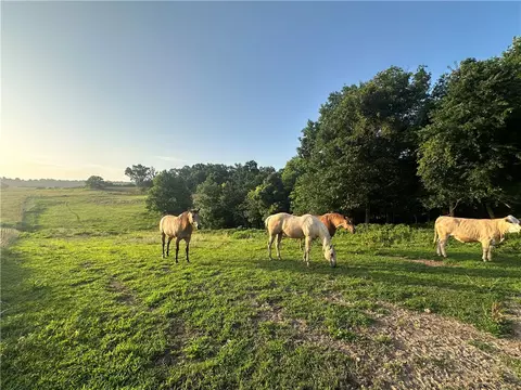 tbd Madison 7615 Rd, Huntsville, AR 72740