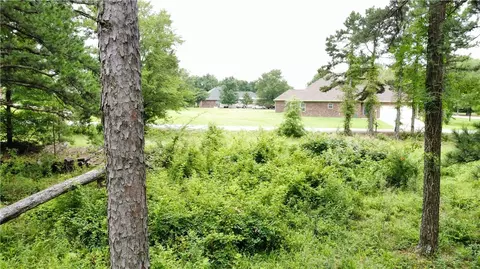 355 Cedar Ridge Loop, Dover, AR 72837 photo 4