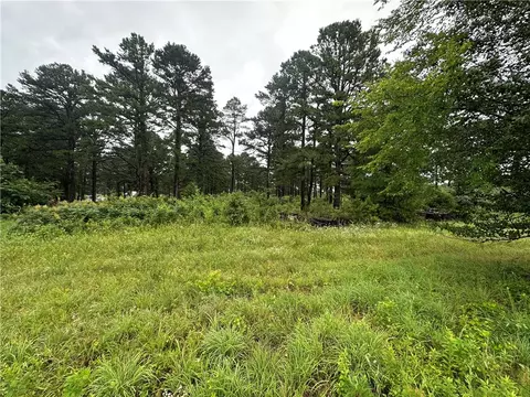 355 Cedar Ridge Loop, Dover, AR 72837 photo 5