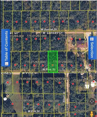 tbd W Pine St, Lead Hill, AR 72644
