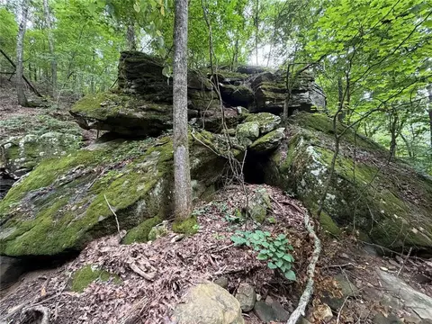 tbd Nc 8330, Jasper, AR 72641 photo 48