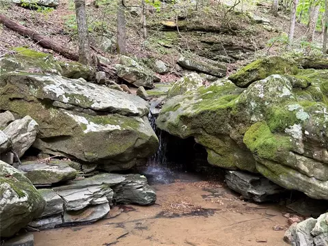 000 Nc 8330, Jasper, AR 72641 photo 18