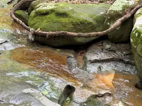 000 Nc 8330, Jasper, AR 72641 photo 37