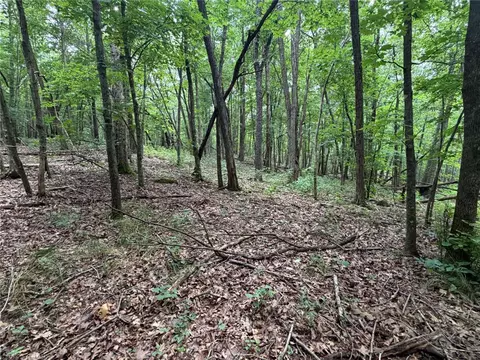 000 Nc 8330, Jasper, AR 72641 photo 46