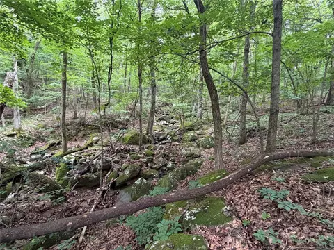 000 Nc 8330, Jasper, AR 72641 photo 45
