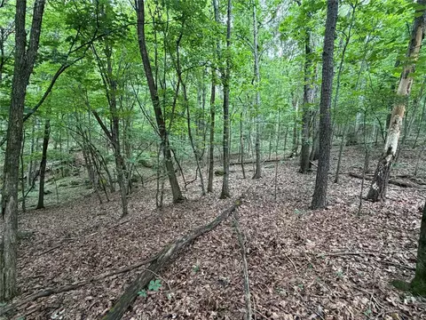 000 Nc 8330, Jasper, AR 72641 photo 47