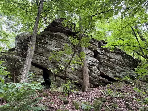 000 Nc 8330, Jasper, AR 72641 photo 3