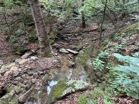 000 Nc 8330, Jasper, AR 72641 photo 9