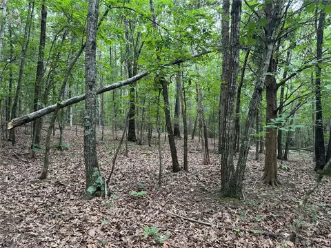 000 Nc 8330, Jasper, AR 72641 photo 29