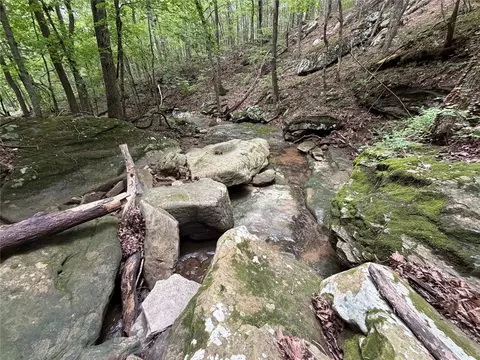 000 Nc 8330, Jasper, AR 72641 photo 12