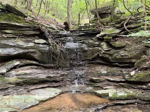 000 Nc 8330, Jasper, AR 72641 photo 41
