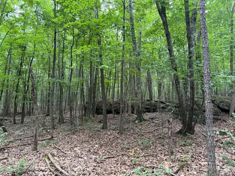 000 Nc 8330, Jasper, AR 72641 photo 26