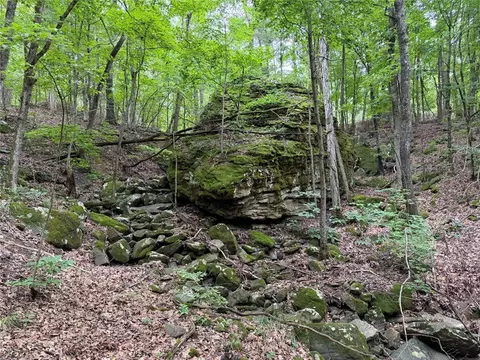 000 Nc 8330, Jasper, AR 72641 photo 33