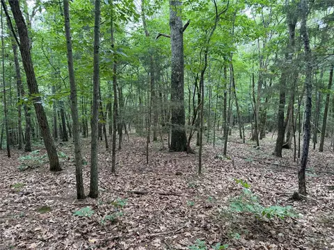 000 Nc 8330, Jasper, AR 72641 photo 32