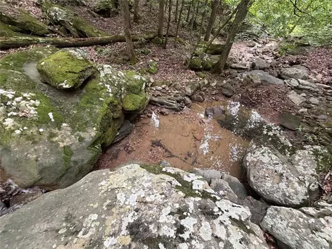 000 Nc 8330, Jasper, AR 72641 photo 15