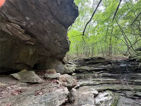 000 Nc 8330, Jasper, AR 72641 photo 6