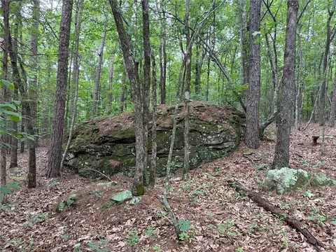000 Nc 8330, Jasper, AR 72641 photo 22