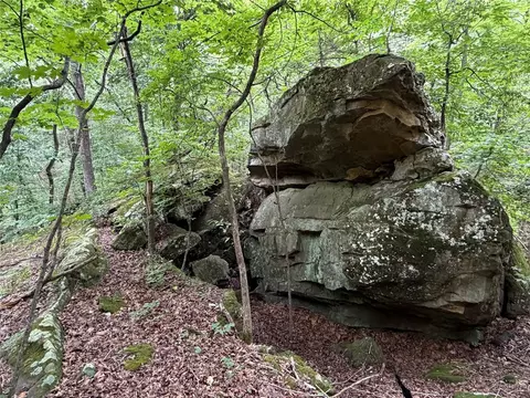 000 Nc 8330, Jasper, AR 72641 photo 8